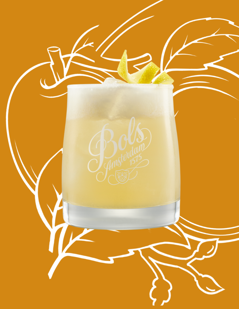 Apricot Brandy Sour Cocktail Recipe with Bols Apricot Brandy Products 