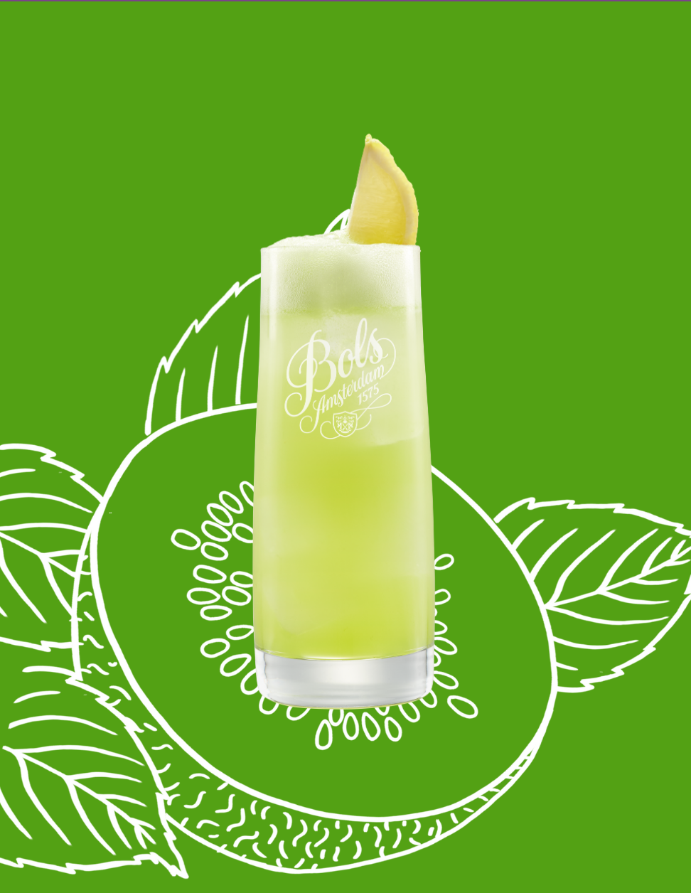 Kiwi Collins Cocktail Recipe with Bols Kiwi Products