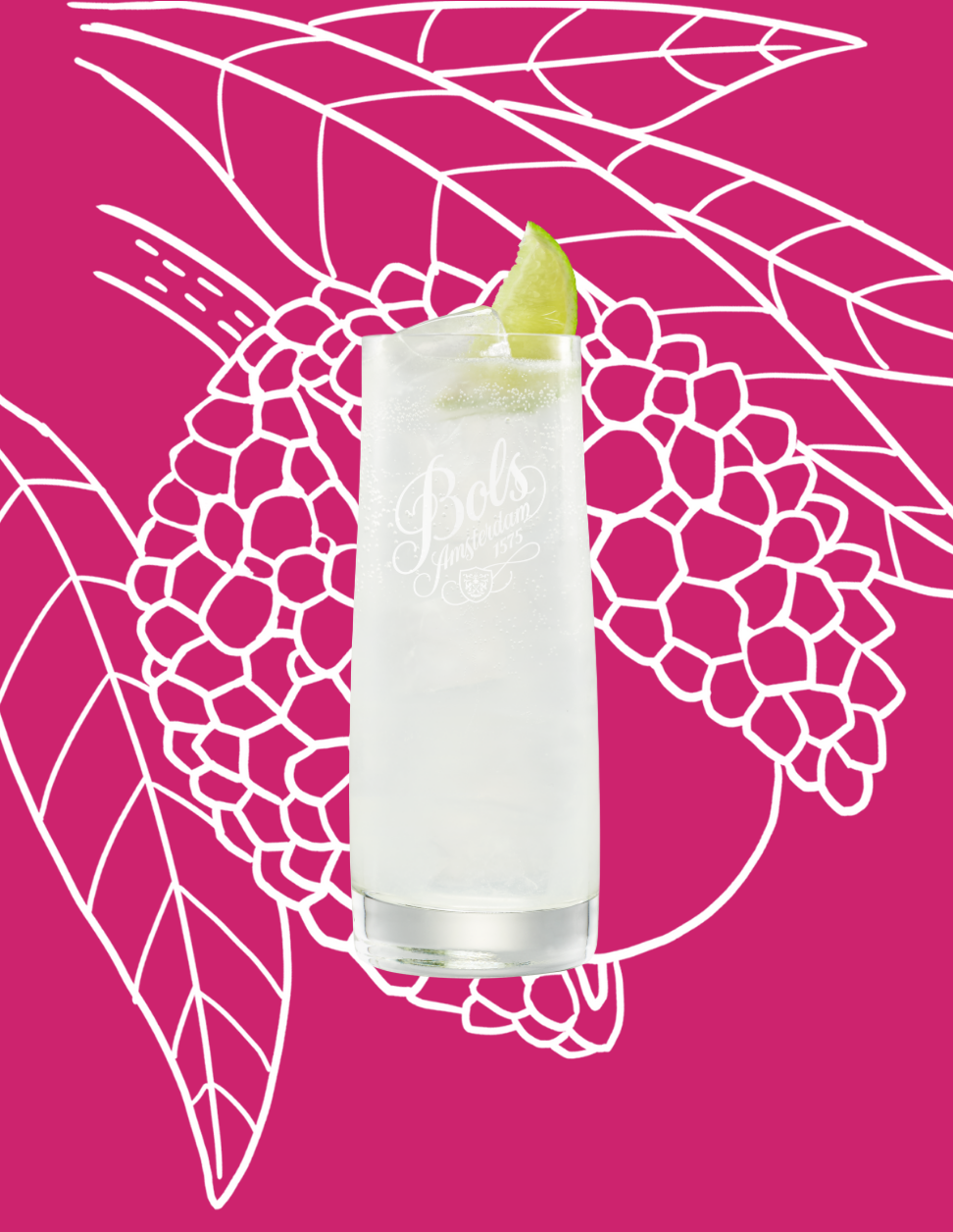 Lychee Rickey Cocktail Recipe with Bols Lychee Products