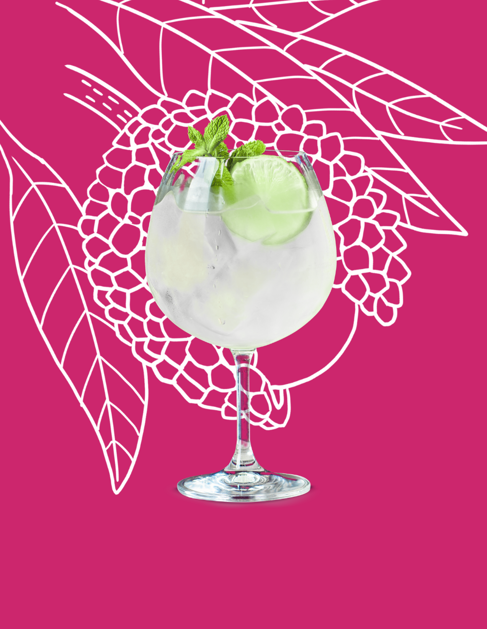 Lychee Spritz Cocktail Recipe with Bols Lychee Products