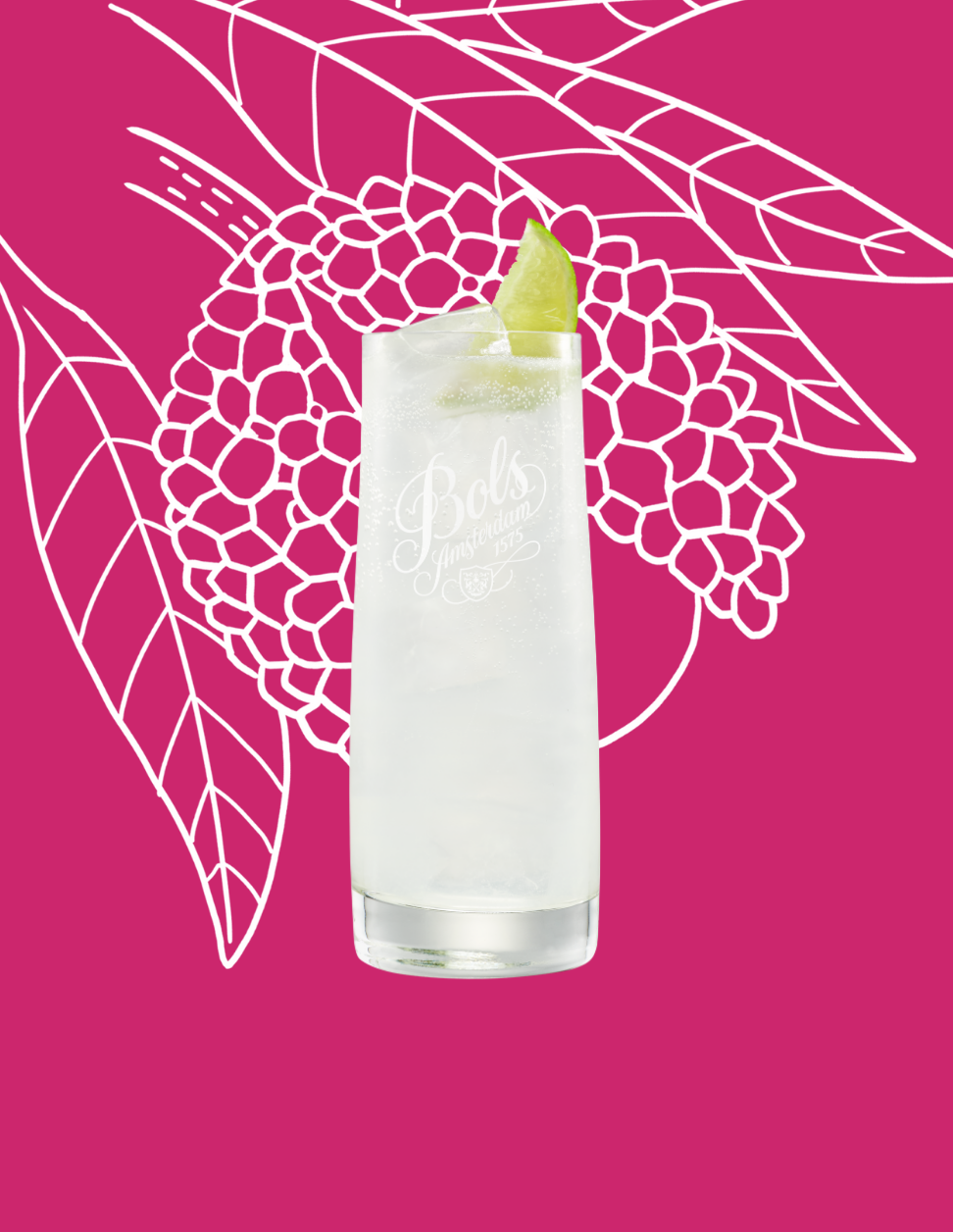 Lychee Tonic Cocktail Recipe with Bols Lychee Products