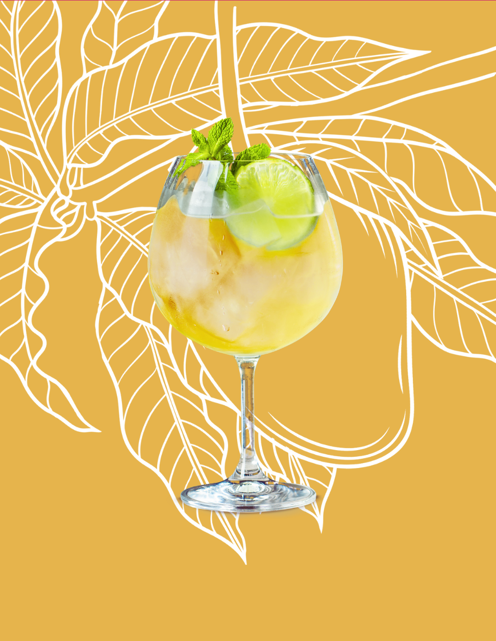 Mango Spritz Cocktail Recipe with Bols Mango Products