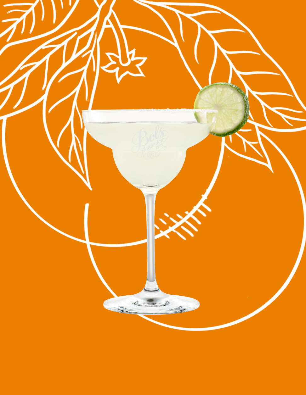Margarita Cocktail Recipe with Bols Triple Sec Products