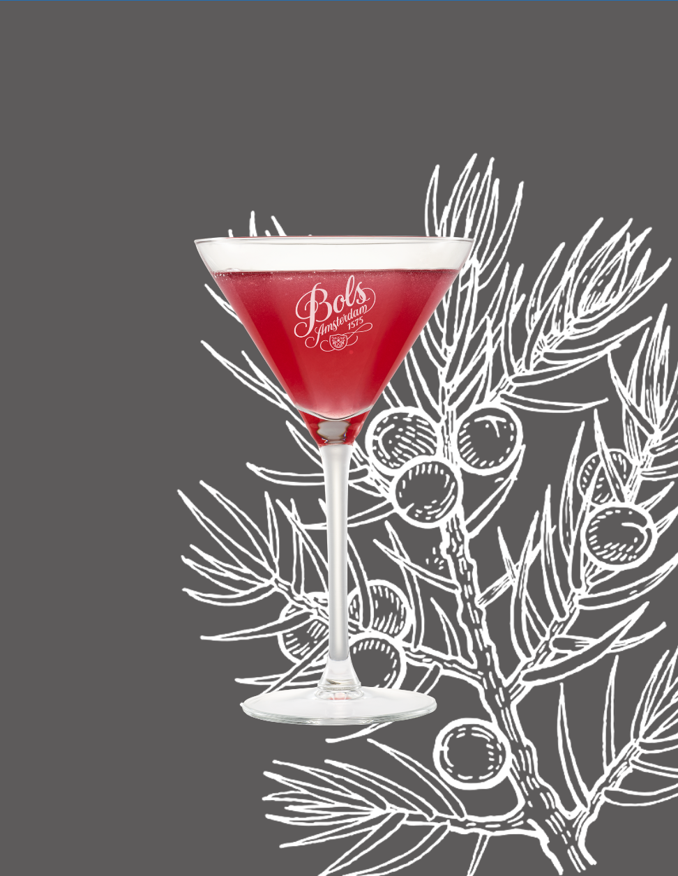Martinez Cocktail Recipe with Bols Products
