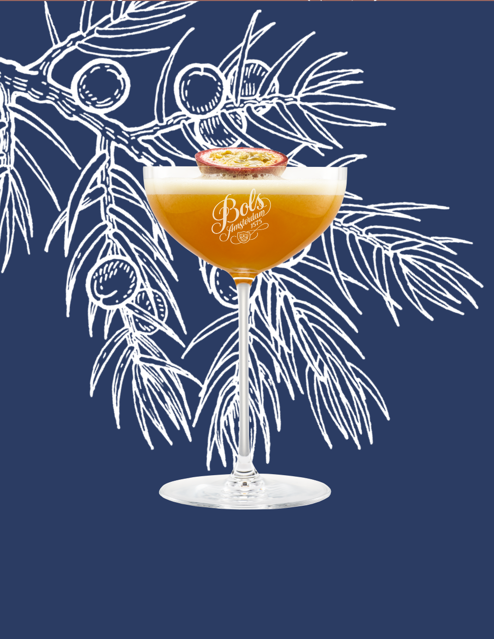 Pornstar Martini Cocktail Recipe with Bols Vodka and Passoa Products