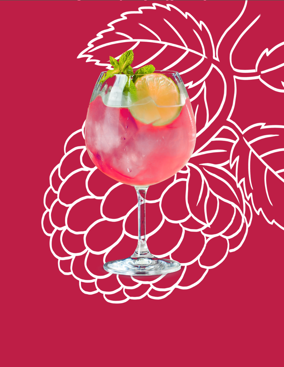 Raspberry Spritz Cocktail Recipe with Bols Raspberry Products