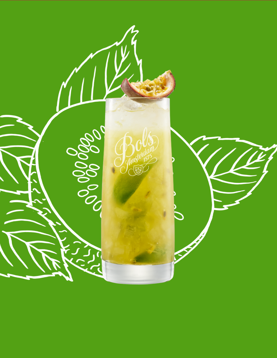 Swizzle Cocktail Recipe with Bols Kiwi and Genever Products