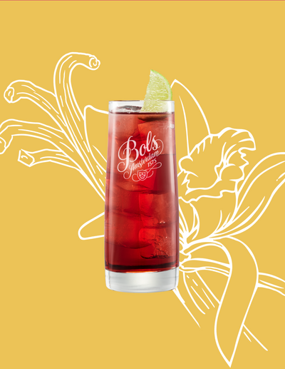 Vanilla Berry Cooler Cocktail Recipe with Bols Strawberry and Vanilla Products