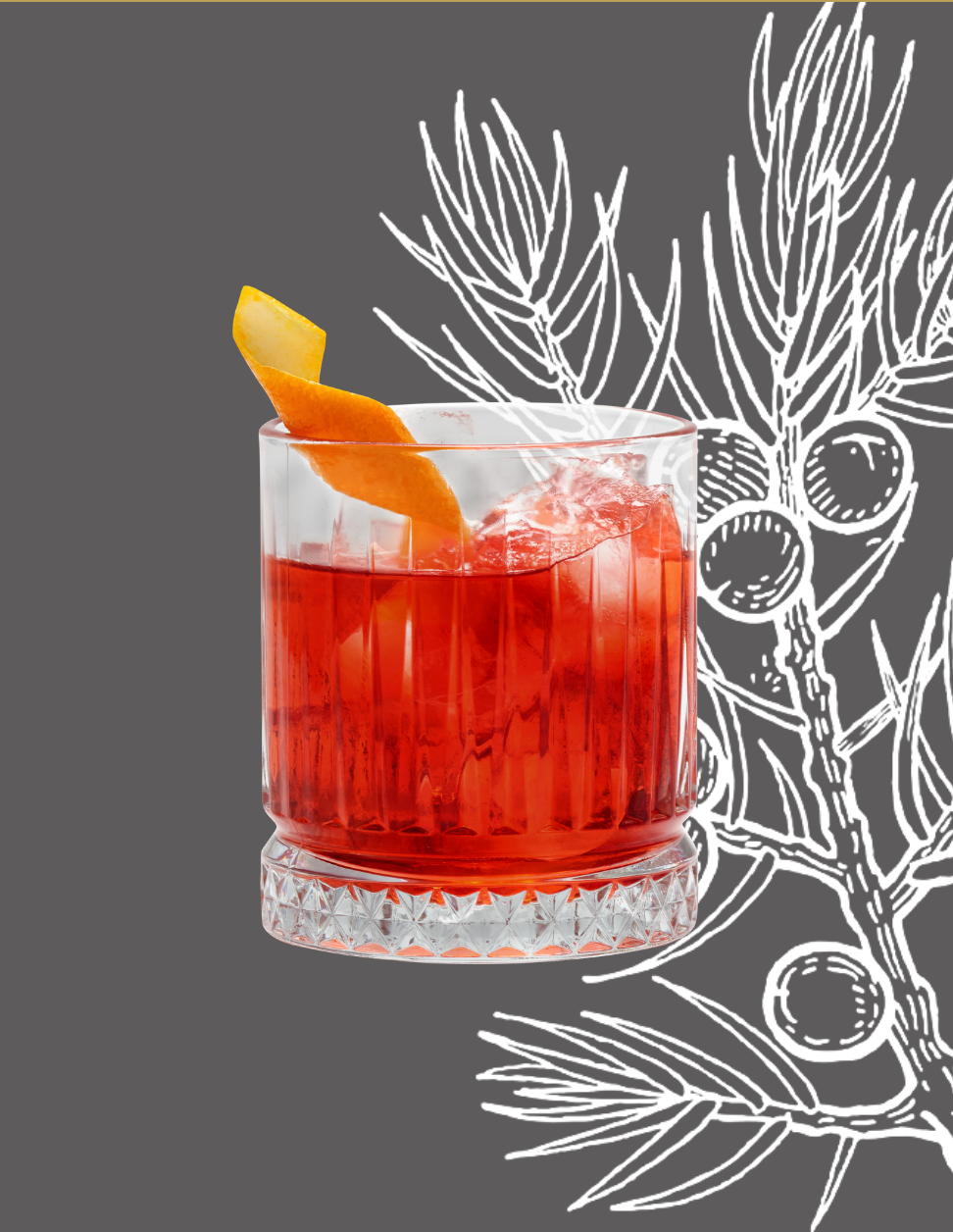 Red Light Negroni Cocktail Recipe with Bols Genever Original Products